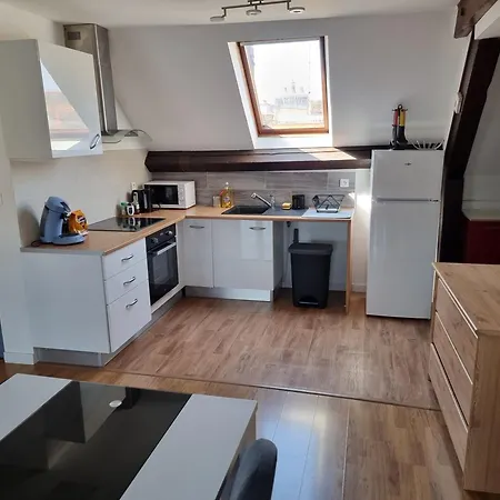 T3 Hypercentre アパート ディジョン